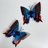 Blue Orange Butterfly Hair Clip Set (Style P)